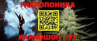 меф Краснознаменск