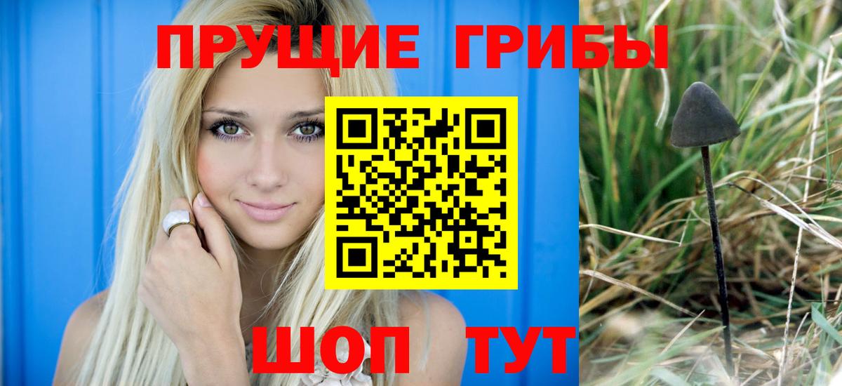 Галлюциногенные грибы Magic Shrooms Владивосток