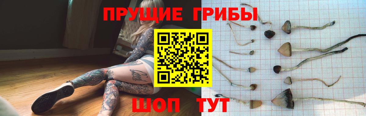 Псилоцибиновые грибы MAGIC MUSHROOMS  Вход с VPN  Галлюциногенные грибы Cubensis  Владивосток 